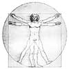 Leonardo da Vinci's 'Vitruvian man'
